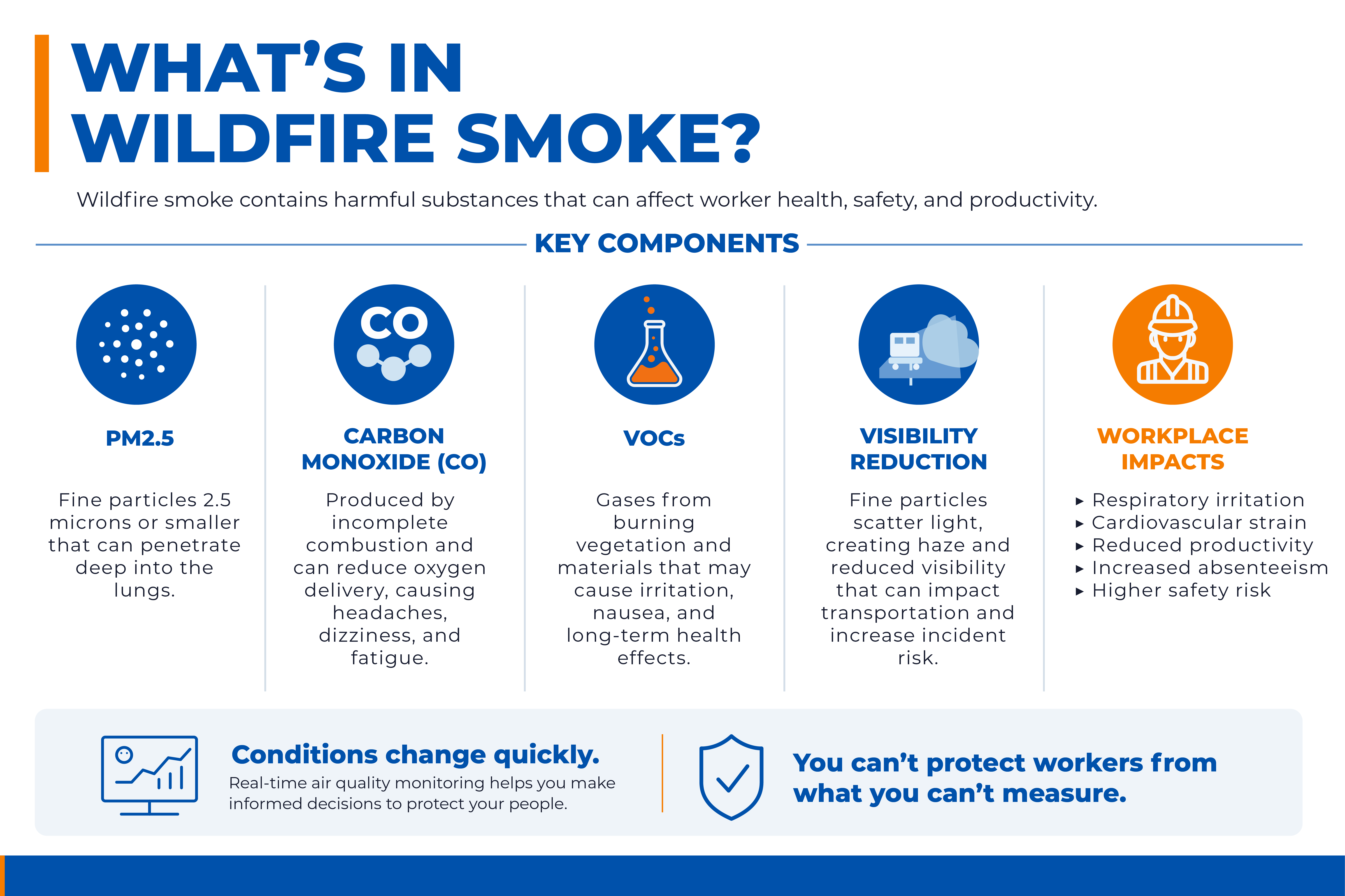 What's in wildfire smoke infographic